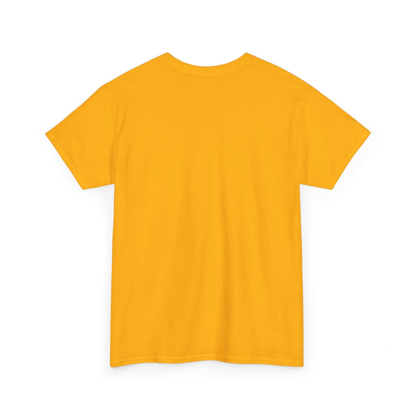 High Quality Cotton Tee for Women, Inspirational Cotton T-Shirt, Gift for Friends, Motivational Tee, Everyday Wear, Positive Vibes